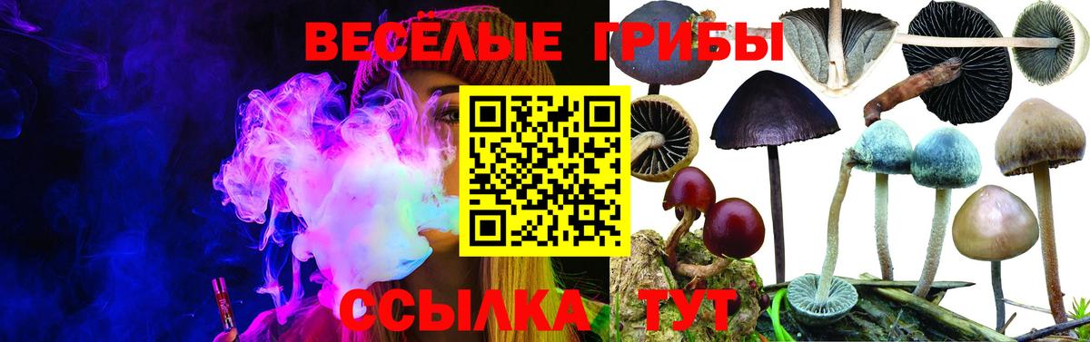 Галлюциногенные грибы прущие грибы Конаково