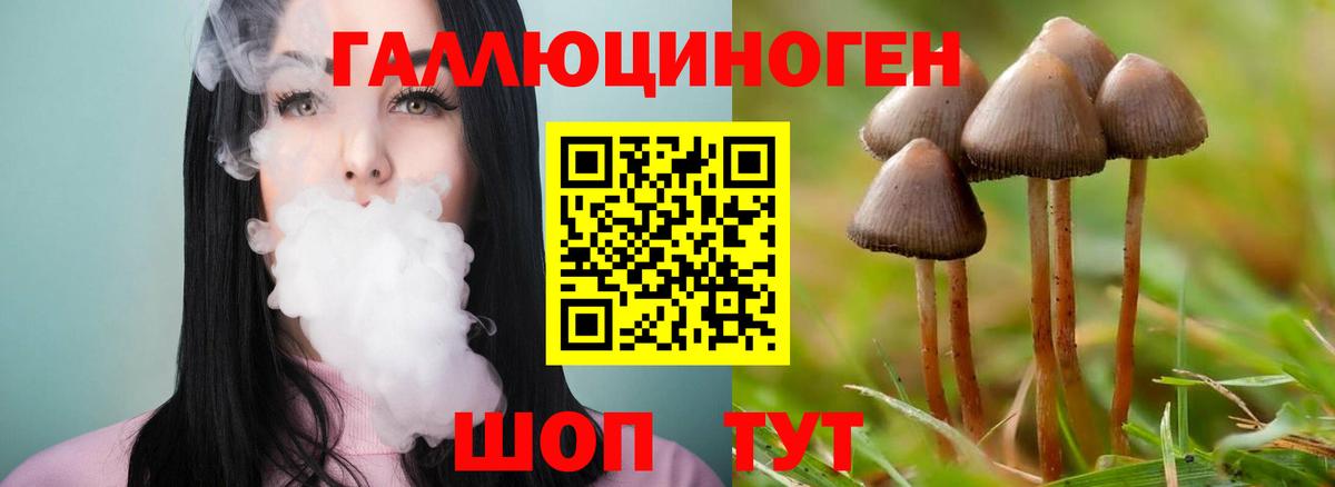 Галлюциногенные грибы Cubensis  Вход с VPN  Конаково 